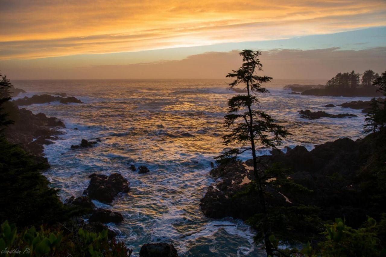 Waterfront Timber Frame Cottage! Ucluelet Εξωτερικό φωτογραφία